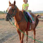 Bambini e cavalli: una simbiosi perfetta