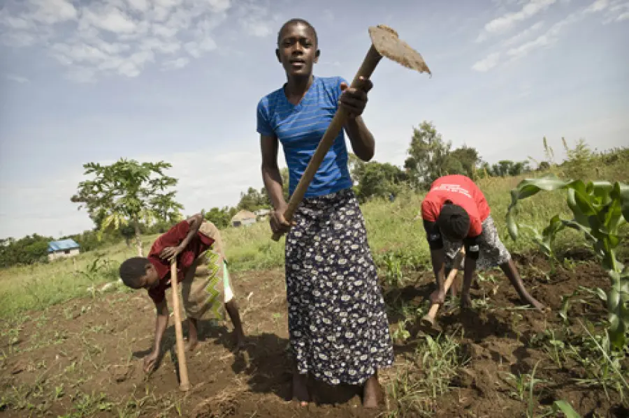 Action Aid e La Torre di Cotone: insieme contro la fame