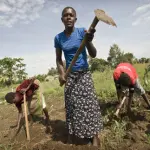 Action Aid e La Torre di Cotone: insieme contro la fame