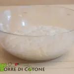 Il lievito madre: nozioni