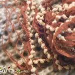 Lana a rete: come si lavora con l'uncinetto