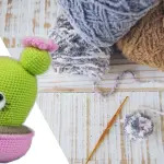 Schemi uncinetto: il cactus fiorito